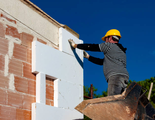Best Energy Efficiency Solutions in Natalia, TX