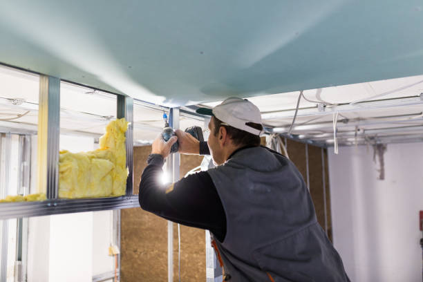 Best Insulation Installation Services in Natalia, TX