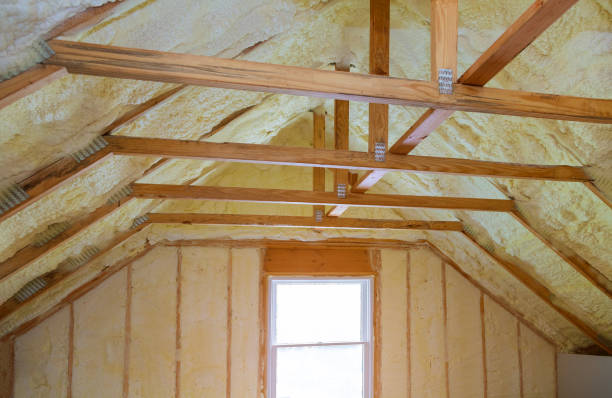 Best Sustainability and Green Building in Natalia, TX